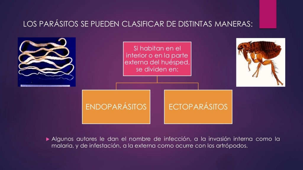 Clasificación de la parasitología e importancia en el Ecuador Clasificación de la parasitología e importancia en el Ecuador
