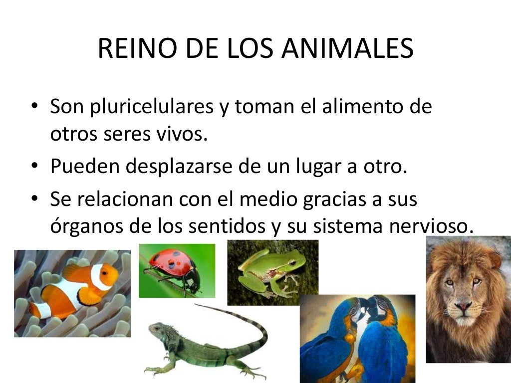 Clasificación en 5 reinos