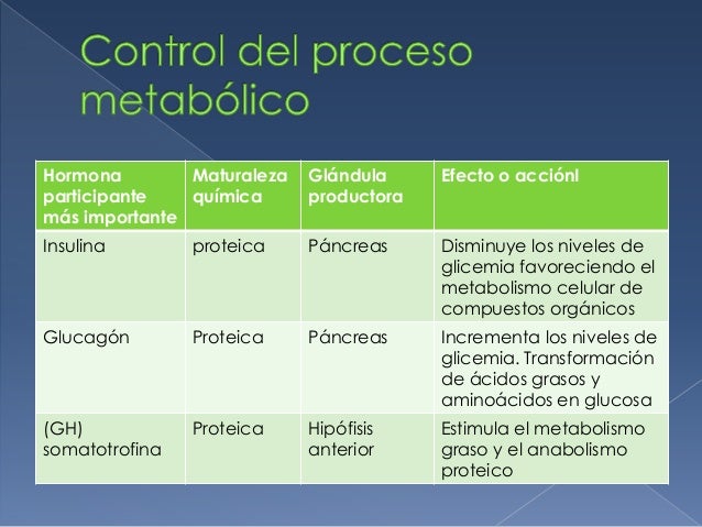 porciones de alimentos para bajar de peso cura