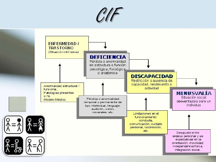 Componente Cif Cifs: Definición, Funcionamiento Y Usos – XYNUT