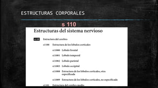 ESTRUCTURAS CORPORALES
s 110
 