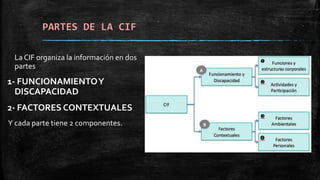 PARTES DE LA CIF
La CIF organiza la información en dos
partes
1- FUNCIONAMIENTOY
DISCAPACIDAD
2- FACTORES CONTEXTUALES
Y cada parte tiene 2 componentes.
 