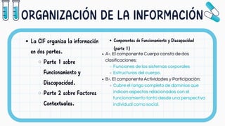 Clasificación Internacional del Funcionamiento, Discapacidad y Salud ...