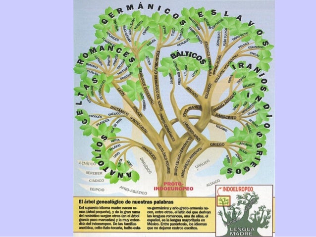 Clasificación de lenguas