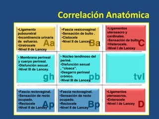 Correlación Anatómica
•Ligamento
pubouretral
•Incontinencia urinaria
de esfuerzo.
•Uretrocele
•Nivel II de Lancey

•Fascia vesicovaginal
•Sensación de bulto .
•Cistocele
•Nivel II de Lancey.

• Membrana perineal
y cuerpo perineal.
•Disfunción sexual .
•Nivel III de Lancey.

• Núcleo tendinoso del
periné.
•Disfunción sexual
, “cloaca”.
•Desgarro perineal
crónico.
•Nivel III de Lancey.

•Fascia rectovaginal.
•Sensación de recto
ocupado.
•Rectocele
•Nivel II de Lancey

•Fascia rectovaginal.
•Sensación de recto
ocupado.
•Rectocele
•Nivel II de Lancey

•Ligamentos
uterosacro y
cardinales.
•Sensación de bulto .
•Histerocele.
•Nivel I de Lancey

•Ligamentos
uterosacros.
•Enterocele
•Nivel I de Lancey

 