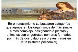 En el renacimiento se buscaron categorías que agruparan los organismos de más simple a más complejo, designando a plantas y animales con engorrosos nombres formados por más de dos palabras o breves frases en latín (sistema polinomial) 