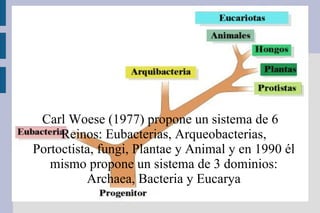 Carl Woese (1977) propone un sistema de 6 Reinos: Eubacterias, Arqueobacterias, Portoctista, fungi, Plantae y Animal y en 1990 él mismo propone un sistema de 3 dominios: Archaea, Bacteria y Eucarya 