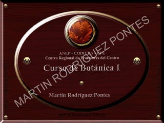 MARTIN RODRIGUEZ PONTES
MARTIN
RODRIGUEZ PONTES
 