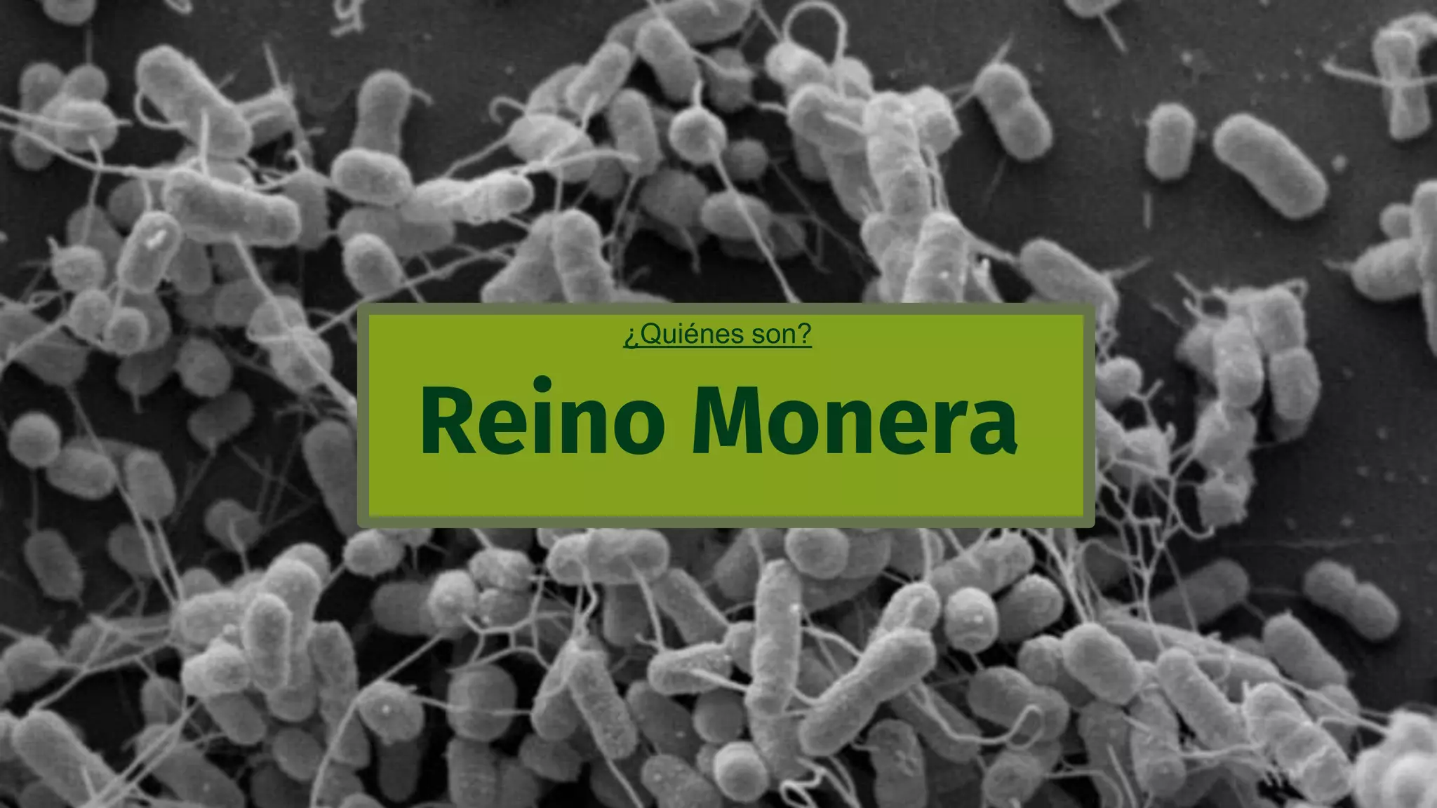 Clasificación taxonómica 10mo CCNN.pptx