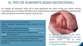 Clasificación Valoración Del Neonato.pptx