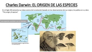 Charles Darwin: EL ORIGEN DE LAS ESPECIES
En el Siglo XIX presenta sus ideas acerca de la evolución basado en las observaciones de sus viajes y lo publica en su obra
“The origin of species”
Las especies cambian con el tiempo
 