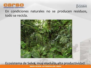 En condiciones naturales no se producen residuos, 
todo se recicla. 
Ecosistema de Selva, muy maduro, alta productividad. 
 
