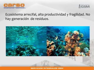 Ecosistema arrecifal, alta productividad y fragilidad. No 
hay generación de residuos. 
 