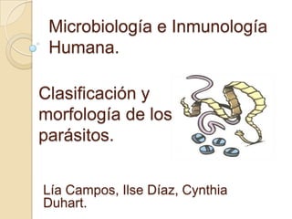 Microbiología e Inmunología
 Humana.

Clasificación y
morfología de los
parásitos.


Lía Campos, Ilse Díaz, Cynthia
Duhart.
 