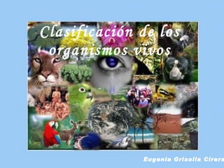 Clasificación de los  organismos vivos   Eugenia Grisolia Cirera 