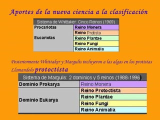 Aportes de la nueva ciencia a la clasificación 
Posteriormente Whittaker y Margulis incluyeron a las algas en los protistas 
Llamandolo protoctista 
 