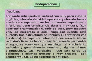 clasificacioN DES SUELOS SLGHASDVONCAS{LGMVADLVM ADFVGADFG | PPT