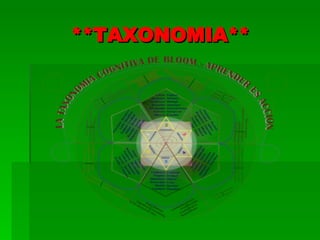 **TAXONOMIA** 