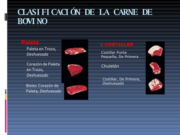Caracteristicas De La Carne De Res