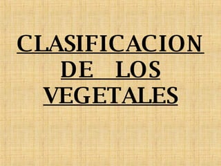 CLASIFICACION DE  LOS VEGETALES 