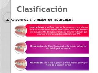 clasificacion-de-lisher.docx