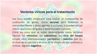 Vectores víricos para el tratamiento
Los virus pueden emplearse para realizar un tratamiento de
sustitución de genes, como vacunas para favorecer la
inmunidad frente a otros agentes y tumores, o pueden actuar
como «asesinos» dirigidos a determinados tumores
Entre los virus que se están desarrollando como vectores
figuran los retrovirus, los adenovirus, los virus del herpes
simple, virus adenoasociados (parvovirus) y poxvirus (por ej.,
el virus de la vaccinia y el virus de la viruela de los canarios) e,
incluso, algunos togavirus.
 