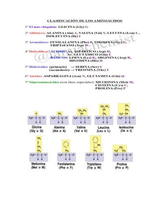 Clasificación de los aminoacidos