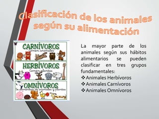 La mayor parte de los
animales según sus hábitos
alimentarios se pueden
clasificar en tres grupos
fundamentales:
Animales Herbívoros
Animales Carnívoros
Animales Omnívoros
 