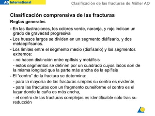 Clasificación de las fracturas de Müller AO
- En las ilustraciones, los colores verde, naranja, y rojo indican un
grado de gravedad progresiva
- Los huesos largos se dividen en un segmento diáfisario, y dos
metaepifisarios.
- Los límites entre el segmento medio (diafisario) y los segmentos
extremos:
- no hacen distinción entre epífisis y metáfisis
- estos segmentos se definen por un cuadrado cuyos lados son de
la misma longitud que la parte más ancha de la epífisis
- El “centro” de la fractura se determina:
- para la mayoría de las fracturas simples su centro es evidente,
- para las fracturas con un fragmento cuneiforme el centro es el
lugar donde la cuña es más ancha,
- el centro de las fracturas complejas es identificable solo tras su
reducción
Clasificación comprensiva de las fracturas
Reglas generales
 