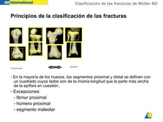 Clasificación de las fracturas de Müller AO
- En la mayoría de los huesos, los segmentos proximal y distal se definen con
un cuadrado cuyos lados son de la misma longitud que la parte más ancha
de la epífisis en cuestión,
- Excepciones:
- fémur proximal
- húmero proximal
- segmento maleolar
Principios de la clasificación de las fracturas
 