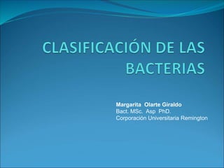 Margarita Olarte Giraldo
Bact. MSc. Asp PhD.
Corporación Universitaria Remington
 