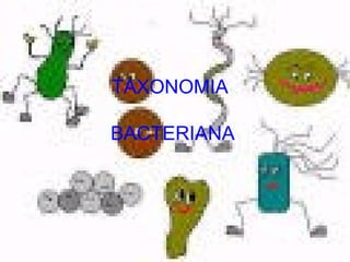 TAXONOMIA  BACTERIANA 