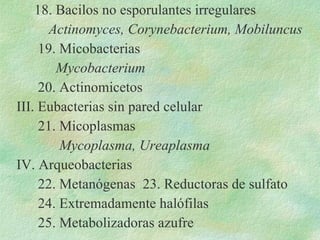 18. Bacilos no esporulantes irregulares Actinomyces, Corynebacterium, Mobiluncus 19. Micobacterias Mycobacterium 20. Actin...