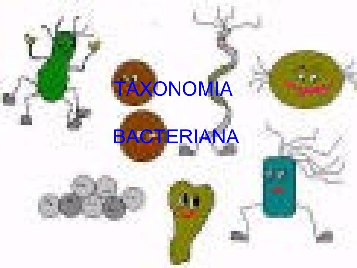 Clasificacion bacteriana