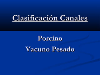Clasificación CanalesClasificación Canales
PorcinoPorcino
Vacuno PesadoVacuno Pesado
 