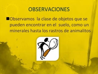 Observamos la clase de objetos que se
 pueden encontrar en el suelo, como un
 minerales hasta los rastros de animalitos
 