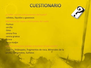 ¿Cuáles son los componentes del suelo?
-sólidos, líquidos y gaseosos
Menciona las capas u horizontes del suelo
-humus
-arcilla
-limo
-arena fina
-arena gruesa
-grava
-roca madre
¿Cuáles minerales puedes encontrar en los suelos?
-Cuarzo, feldespato, fragmentos de roca, Minerales de la
arcilla, Carbonatos, Sulfatos
 