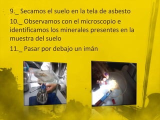 9._ Secamos el suelo en la tela de asbesto
10._ Observamos con el microscopio e
identificamos los minerales presentes en la
muestra del suelo
11._ Pasar por debajo un imán
 