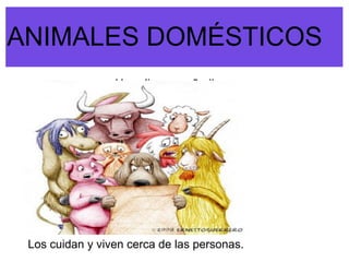 ANIMALES DOMÉSTICOS
 esto es una prueba. clic para añadir co
                  Haz




 Los cuidan y viven cerca de las personas.
 