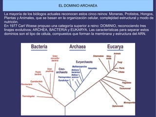 La mayoría de los biólogos actuales reconocen estos cinco reinos: Moneras, Protistos, Hongos,
Plantas y Animales, que se basan en la organización celular, complejidad estructural y modo de
nutrición.
En 1977 Carl Woese propuso una categoría superior a reino: DOMINIO, reconociendo tres
linajes evolutivos; ARCHEA, BACTERIA y EUKARYA. Las características para separar estos
dominios son el tipo de célula, compuestos que forman la membrana y estructura del ARN.
EL DOMINIO ARCHAEA
 