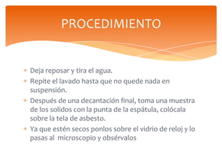 PROCEDIMIENTO

Deja reposar y tira el agua.
Repite el lavado hasta que no quede nada en
suspensión.
Después de una decanta...