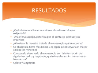  ¿Qué observas al hacer reaccionar el suelo con el agua
oxigenada?
 Una efervescencia, obtenida por el contacto de muest...