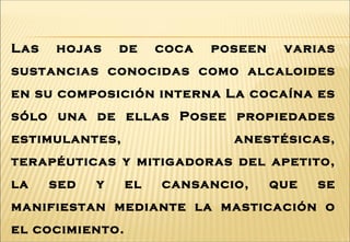 Las hojas de coca poseen varias
sustancias conocidas como alcaloides
en su composición interna La cocaína es
sólo una de ellas Posee propiedades
estimulantes, anestésicas,
terapéuticas y mitigadoras del apetito,
la sed y el cansancio, que se
manifiestan mediante la masticación o
el cocimiento.
 