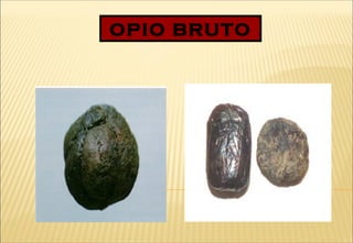 OPIO BRUTO
 