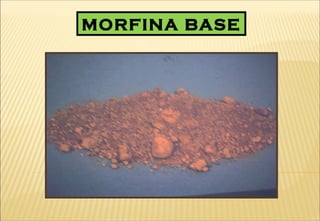 MORFINA BASE
 