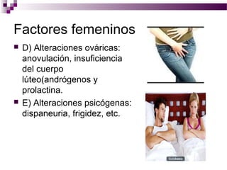 Factores femeninos
 D) Alteraciones ováricas:
anovulación, insuficiencia
del cuerpo
lúteo(andrógenos y
prolactina.
 E) Alteraciones psicógenas:
dispaneuria, frigidez, etc.
 
