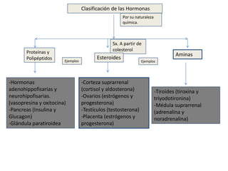Clasificación de las Hormonas
                                                       Por su naturaleza
                                                       química.



                                                 Sx. A partir de
       Proteínas y                               colesterol
                                                                                    Aminas
       Polipéptidos                       Esteroides
                        Ejemplos                                 Ejemplos




-Hormonas                          -Corteza suprarrenal
adenohippofisarias y               (cortisol y aldosterona)                -Tiroides (tiroxina y
neurohipofisarias.                 -Ovarios (estrógenos y                  triyodotironina)
(vasopresina y oxitocina)          progesterona)                           -Médula suprarrenal
-Pancreas (Insulina y              -Testículos (testosterona)              (adrenalina y
Glucagon)                          -Placenta (estrógenos y                 noradrenalina)
-Glándula paratiroidea             progesterona)
 