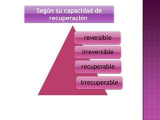 Según su capacidad de
recuperación
reversible
irreversible
recuperable

irrecuperable

 