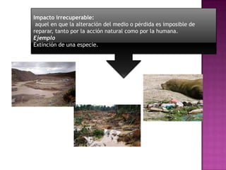 Impacto irrecuperable:
aquel en que la alteración del medio o pérdida es imposible de
reparar, tanto por la acción natural como por la humana.
Ejemplo
Extinción de una especie.

 