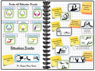 Partes del Retenedor Directo
Apoyo Oclusal Cuerpo Hombros
Extremos Terminales Brazos Conector Menor
Brazo de Acceso Extremo Terminal
Retenedores Directos
Se usa cuando
hay pilares
intermedios
Se usa en piezas posteriores
que se han mesializado
Dr. Vargas Perez Xavier
 